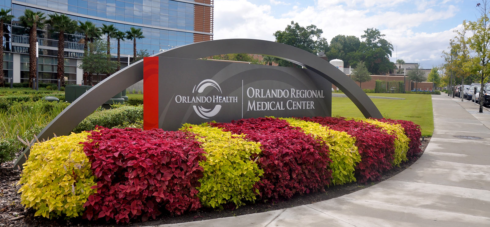 Orlando Health DCL